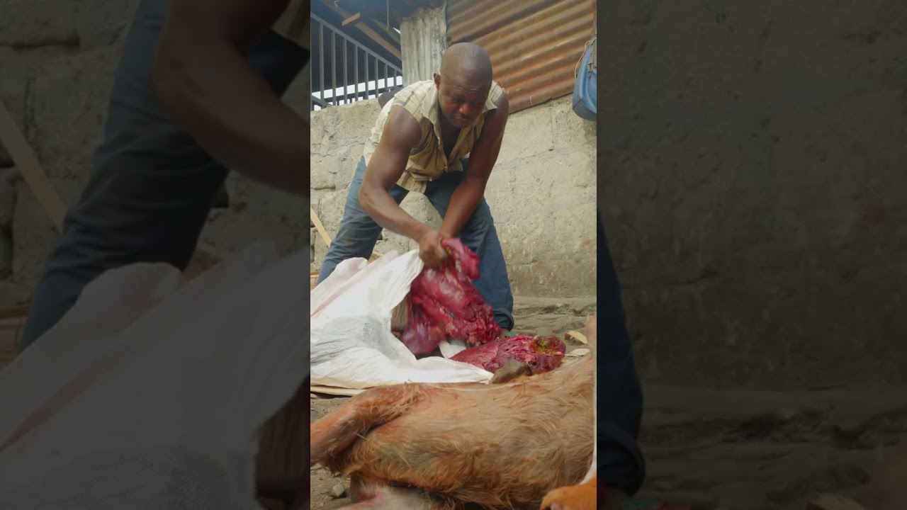ILLEGAL Bushmeat at Kumasi Market (GHANA) 🇬🇭⚠️