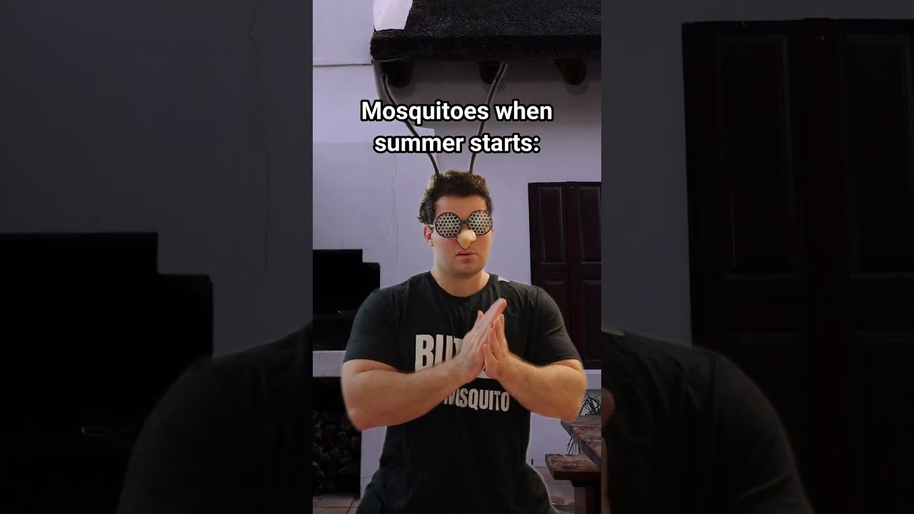 Mosquitoes When Summer Starts.