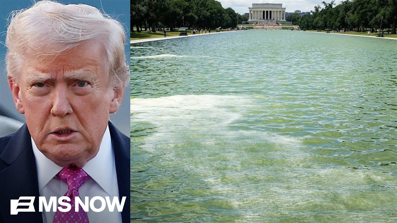 Reflecting pool controversy ’emblematic’ of Trump admin’s ‘narcissism and arrogance’: Stein