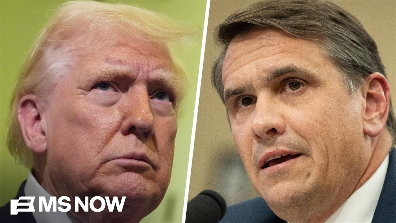 ‘So distasteful’: Ex-U.S. attorney on report Trump admin ended DOJ probe into fraudster’s clemency