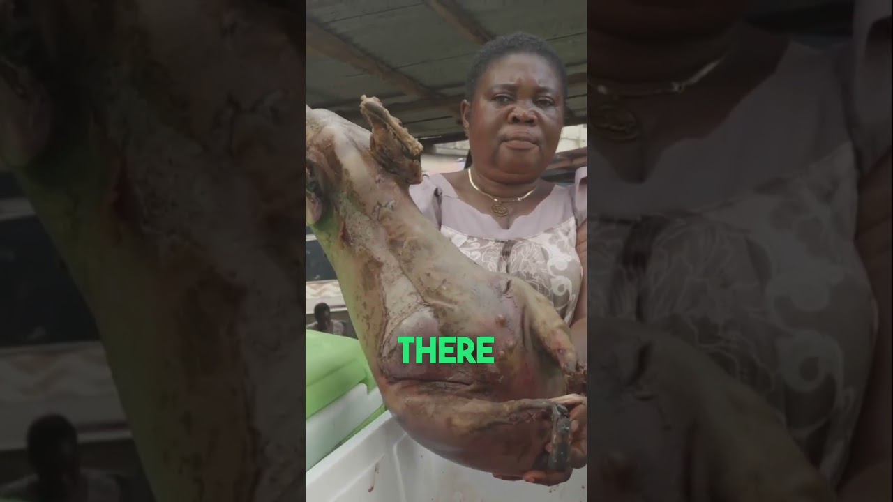 The Truth about Bushmeat in Ghana 🇬🇭