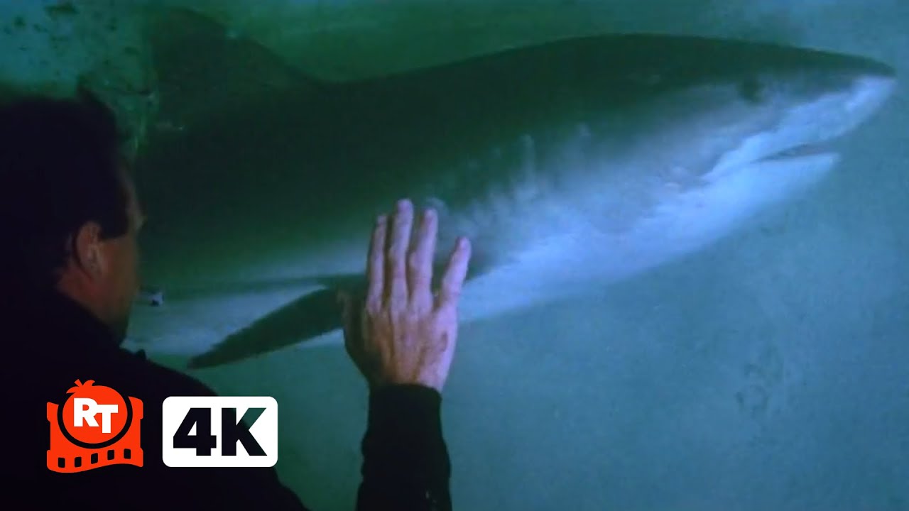 Thunderball (1965) 4K – Deadly Shark Fight (6/10) | Movieclips