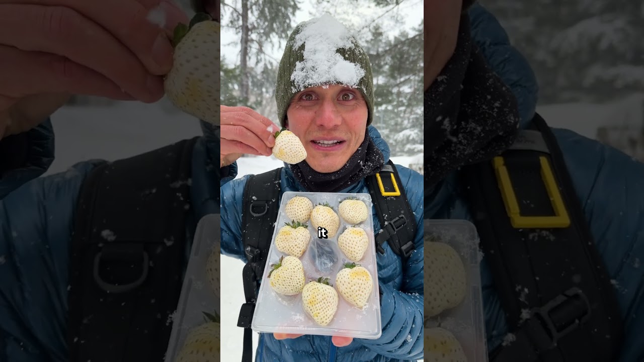 Trying White Strawberries in Japan 🇯🇵