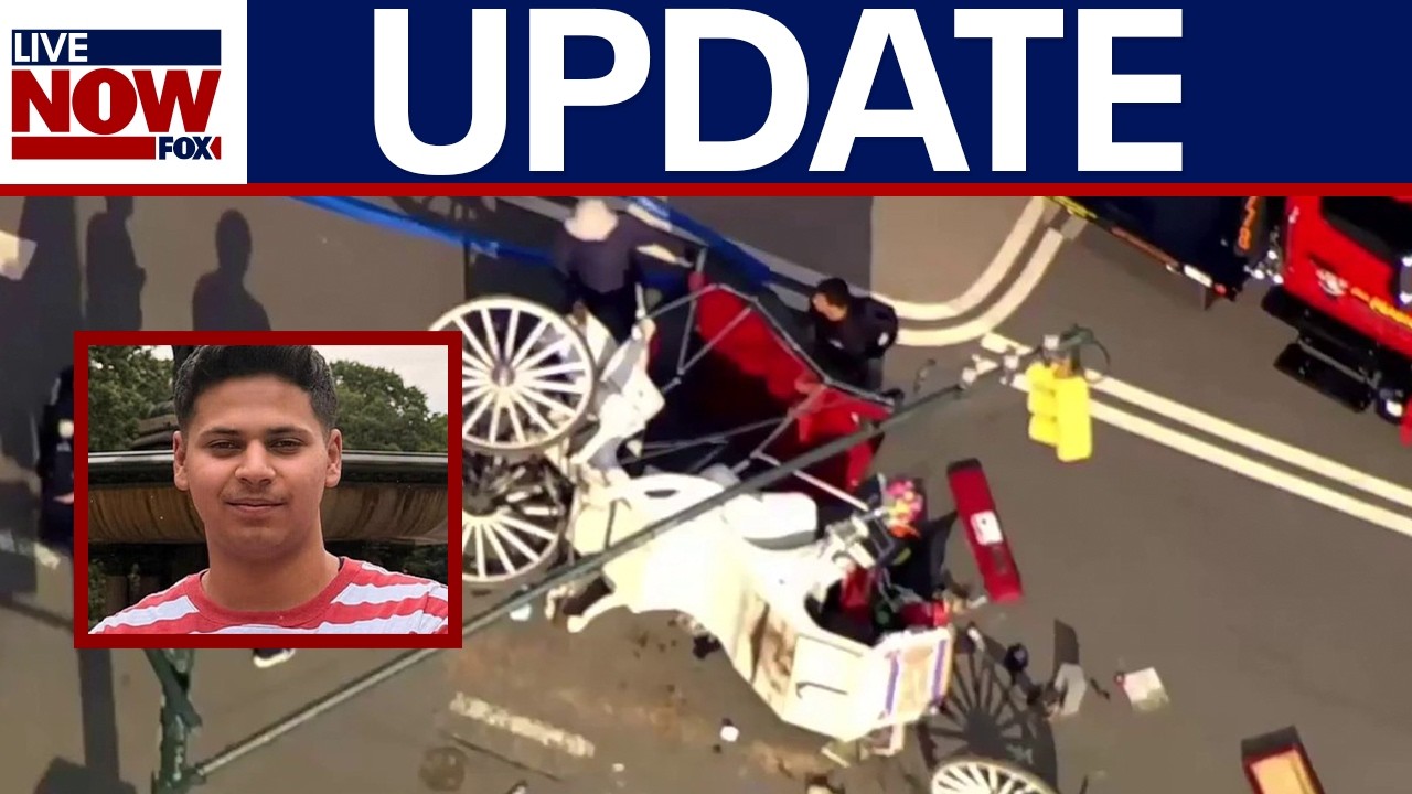 UPDATE: Teen killed in horse carriage accident attempted to save mom