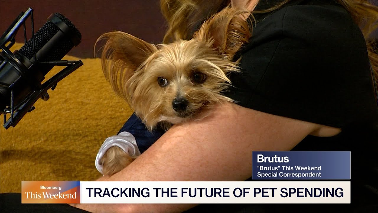 US Pet Market Set to Surpass $250 Billion