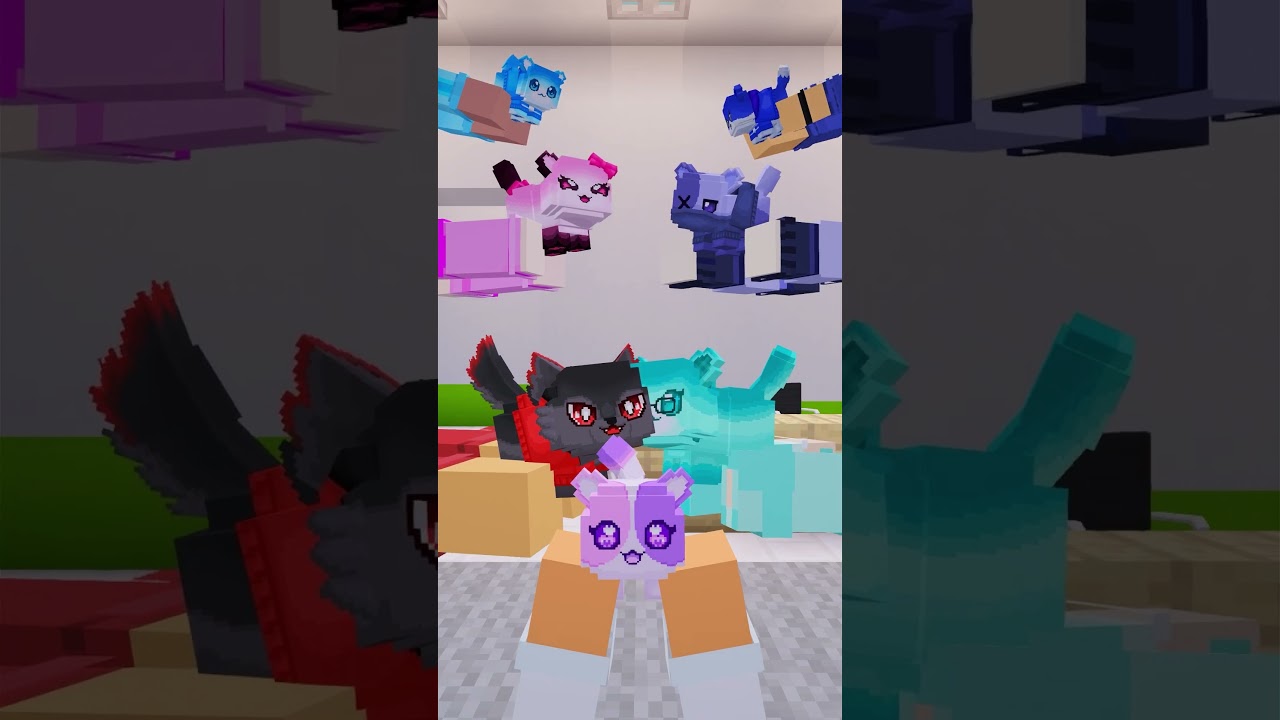 What happens in the back of the Vet?
