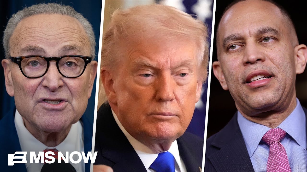 What is the future of the Democratic party? Primaries could give key insight