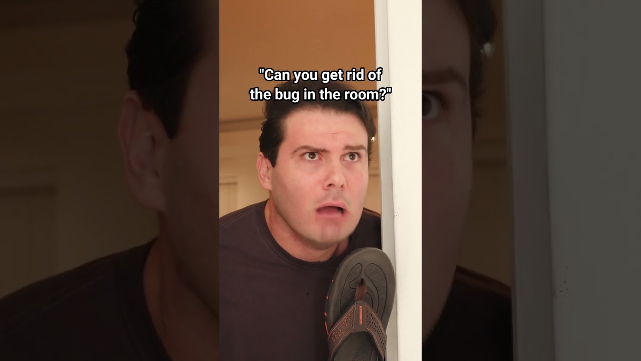 When They Ask You To Get Rid Of The Bug In The Room.