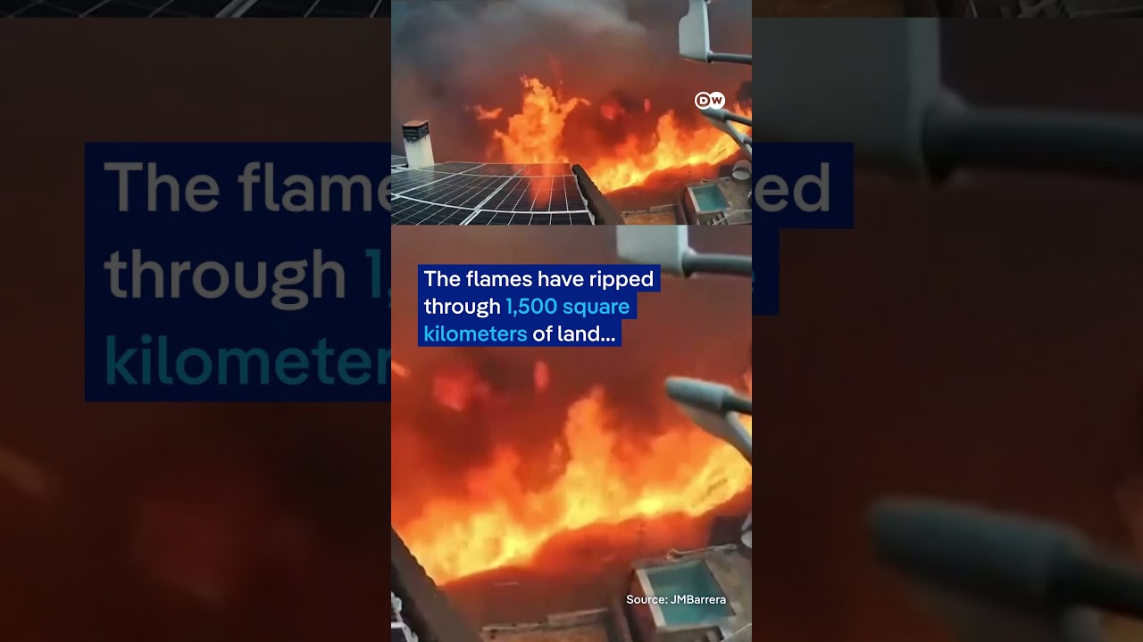 Camera records rapid spread of Spanish wildfire | DW News