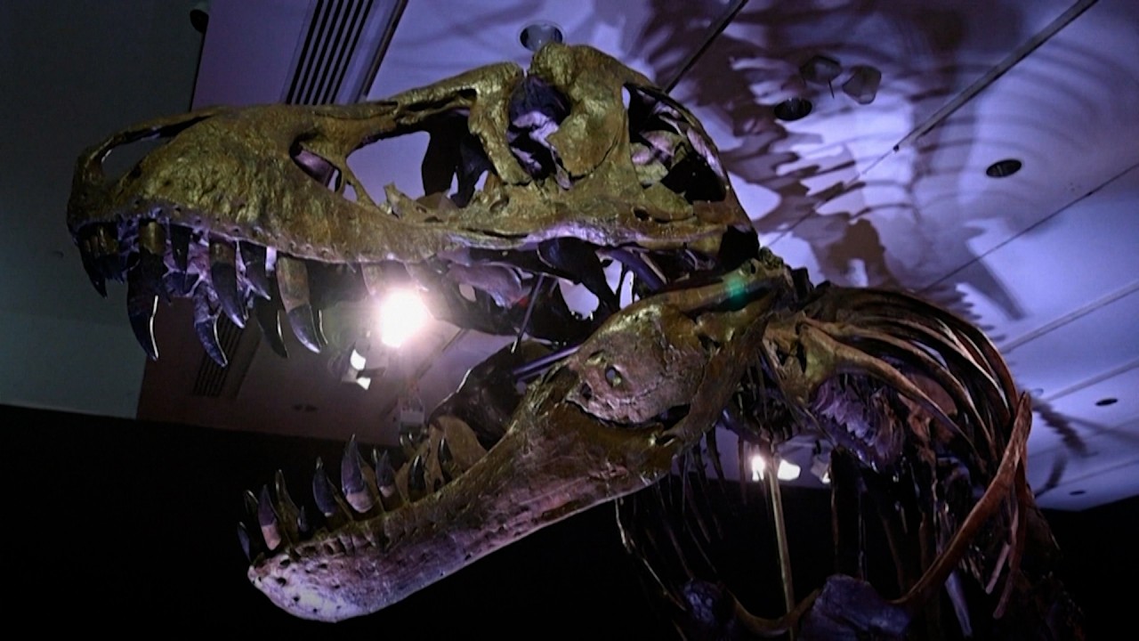 Dinosaur Fossils Become Wealth Market’s New Trophy Asset