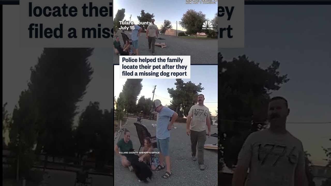 Dog reunited with owners after being lost for nearly 10 days