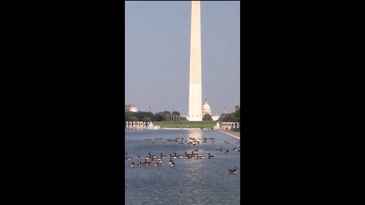 DOJ drops Reflecting Pool vandalism case