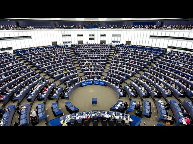 European Parliament triggers procedure to ban Alternative for Germany’s EU party