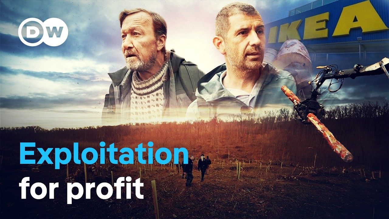 Flatpack forests – IKEA’s practices in the Carpathian Mountains | DW Documentary