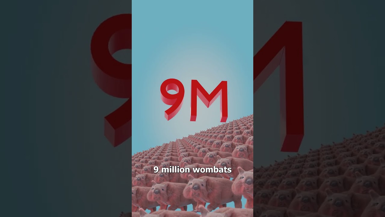 How Much Wombat Poop Builds A Pyramid 🤨