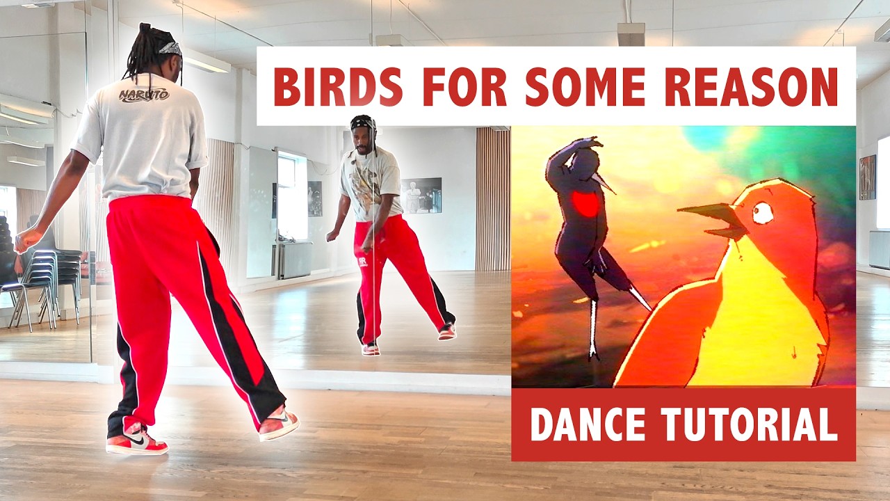 How To Do The “Birds For Some Reason” Dance | Step by Step Tutorial