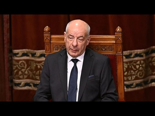 Hungarian president Tamás Sulyok signs constitutional amendment ending his own mandate