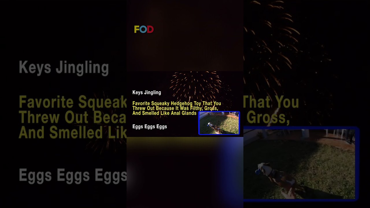 Is your dog scared of fireworks?