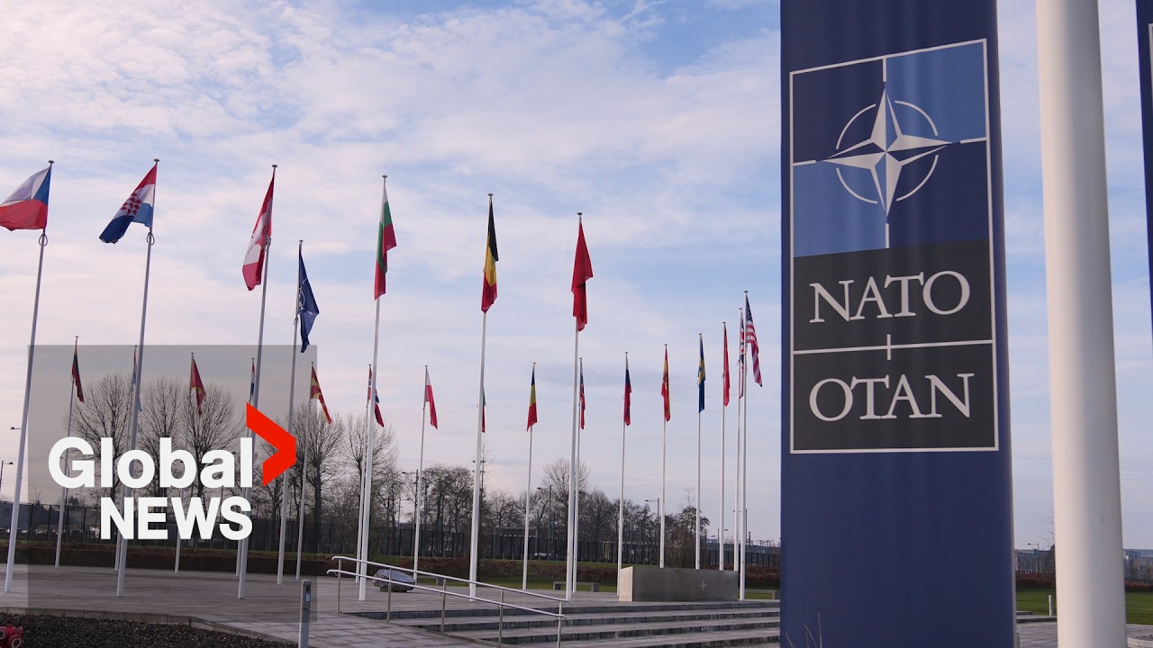 Minister vows probe of “quite serious” charges against Canadian NATO intern