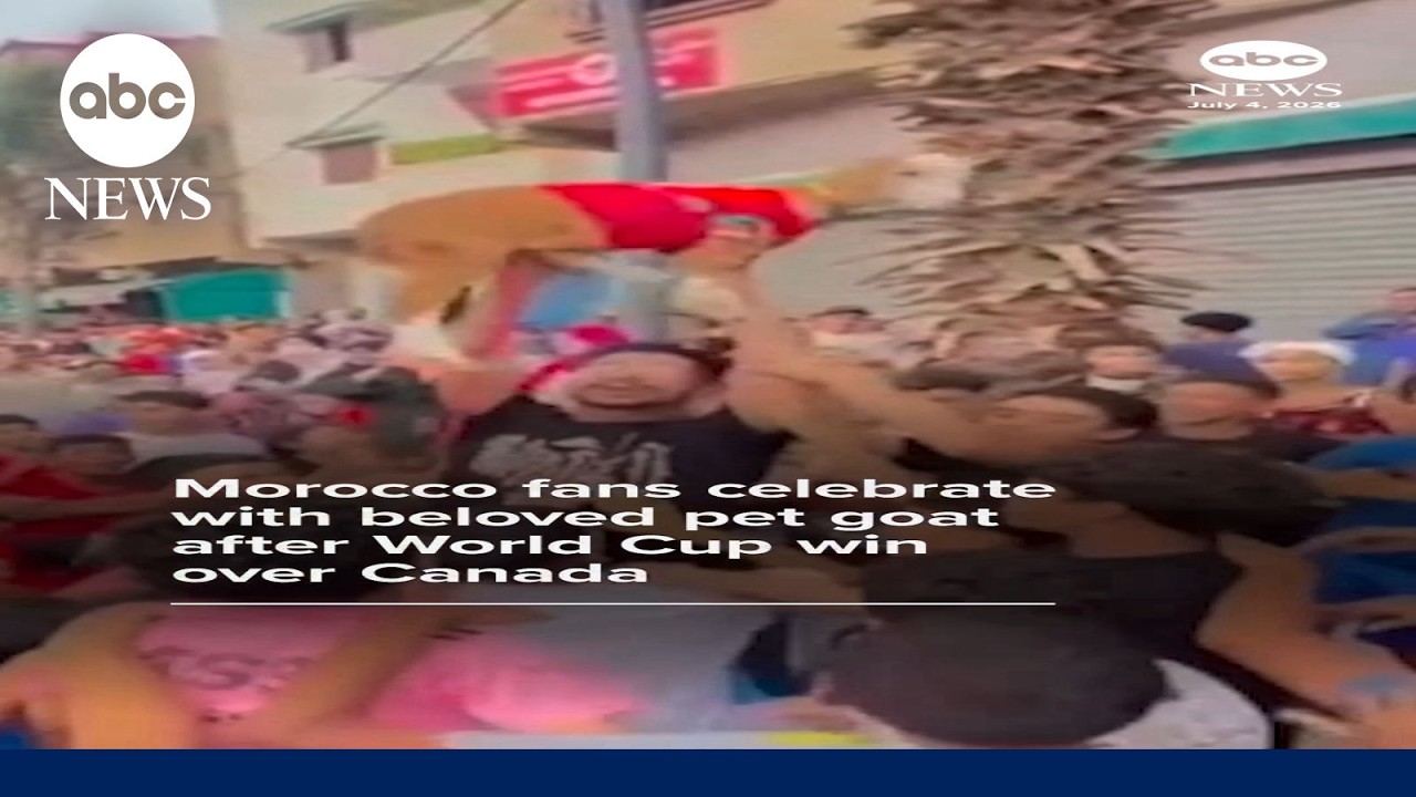 Morocco fans celebrate World Cup victory with beloved pet goat