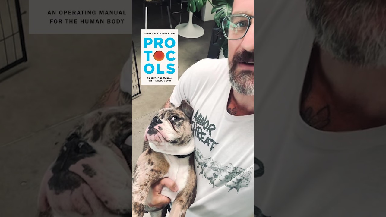 My book Protocols releases September 15th