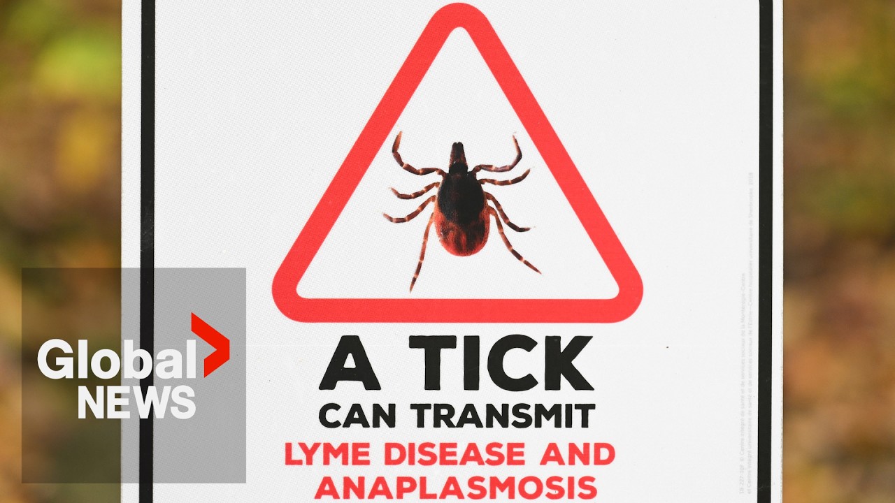 New tick-borne illness on the rise in Canada