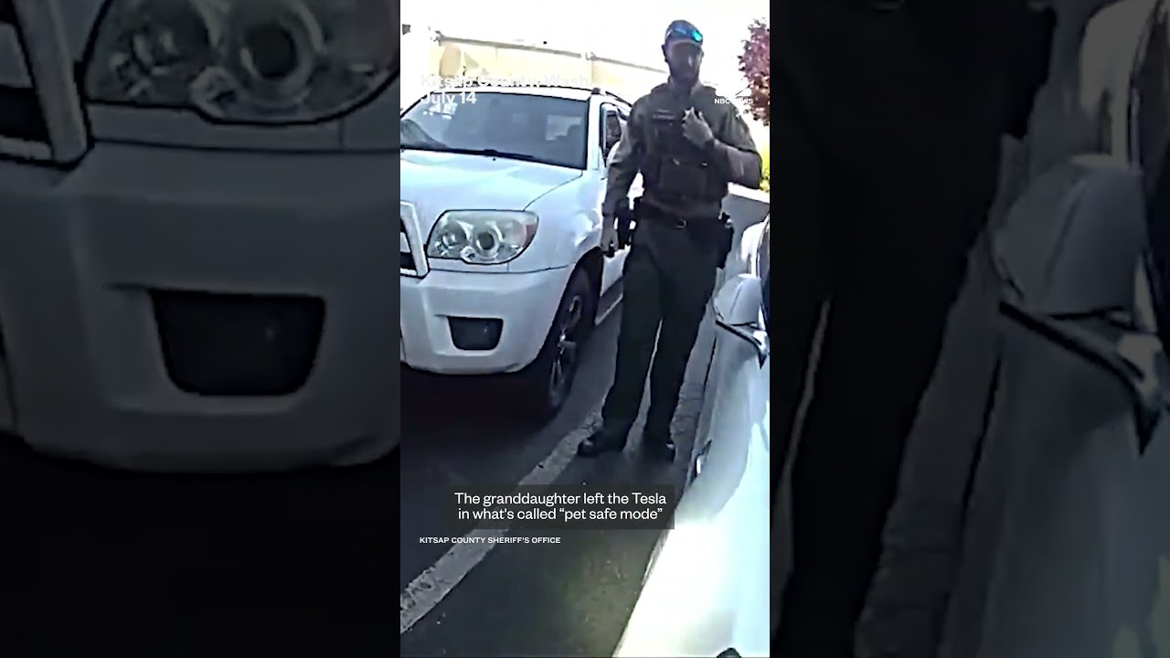 Police rescue elderly woman trapped inside hot Tesla in ‘pet-safe mode’
