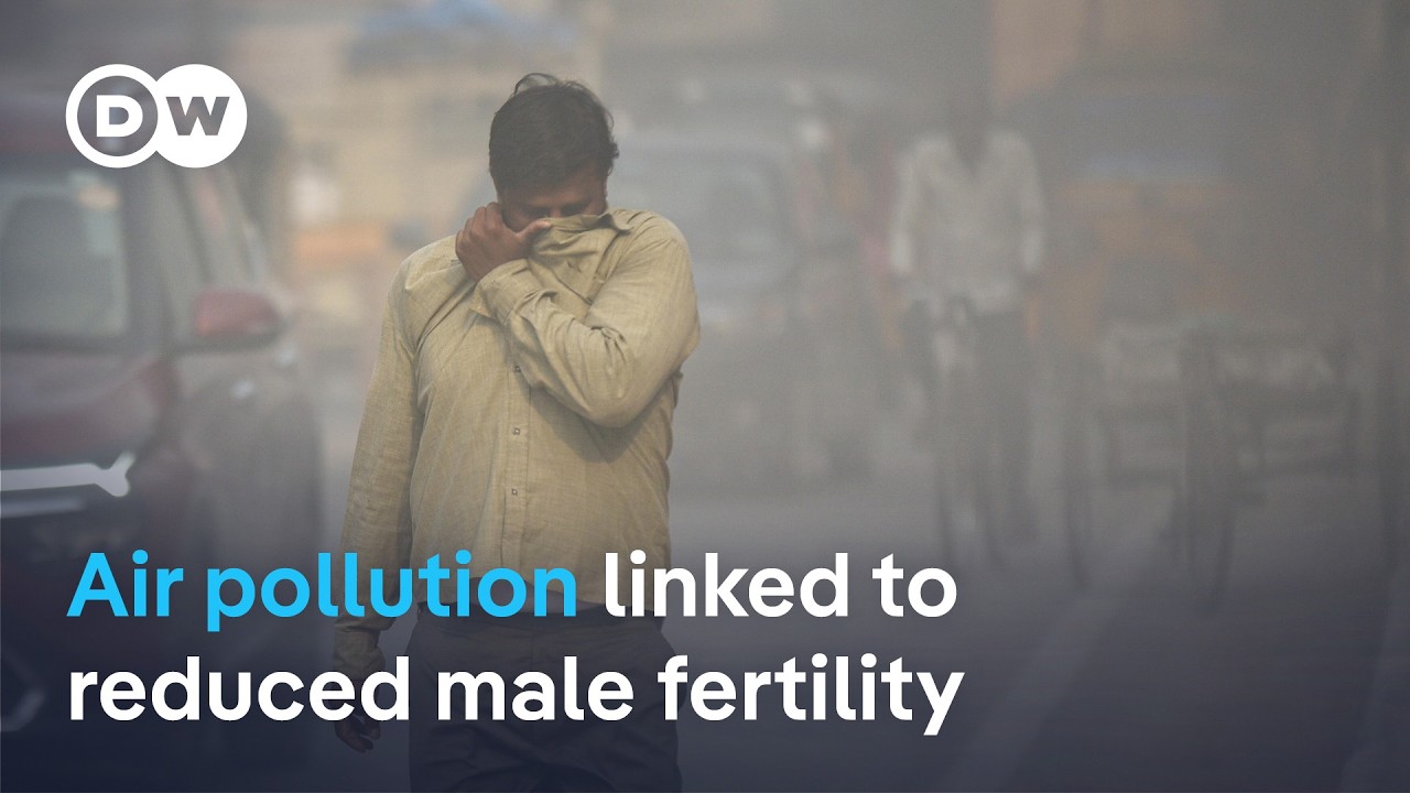 Research suggests air pollution harms male fertility | DW News