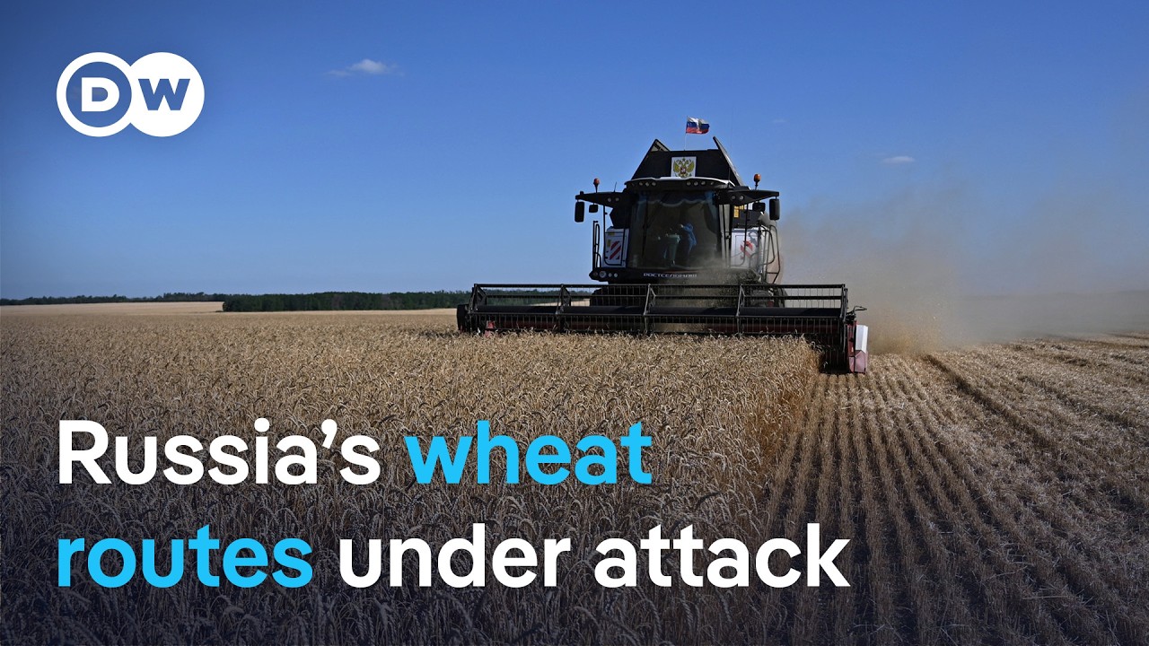 Russia’s grain exports under pressure: Ukraine targets key shipping routes | DW News