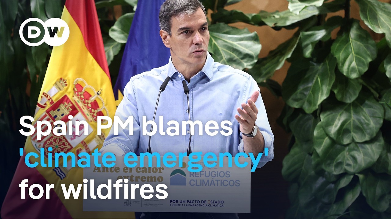 Spain and France struggle to contain blazes as the next heat wave looms | DW News