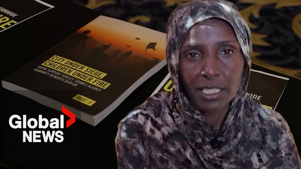 Sudan’s RSF accused of crimes against humanity, ethnic cleansing in el-Fasher