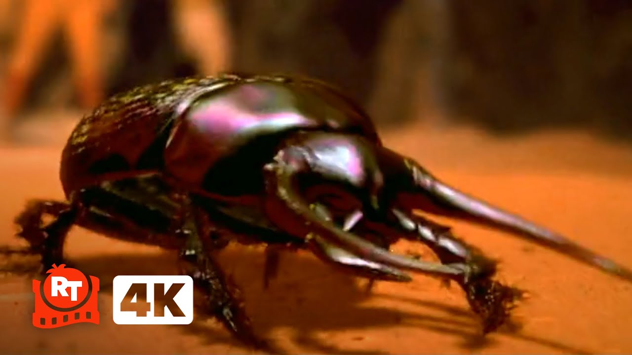 The Mummy (1999) – Flesh-Eating Scarab Attack (8/10) | Movieclips