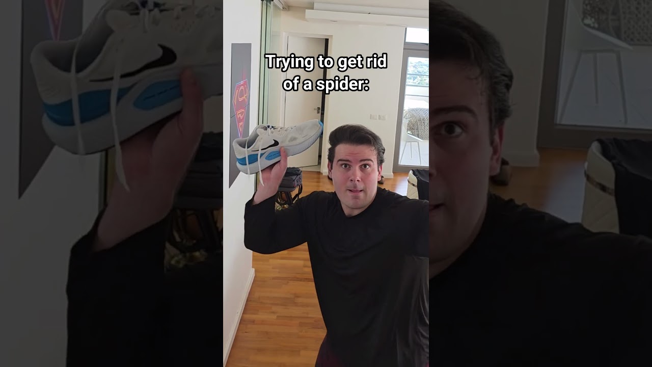 Trying To Get Rid Of A Spider.