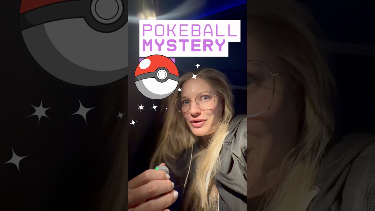 What happens when a Pokemon goes into the pokeball?