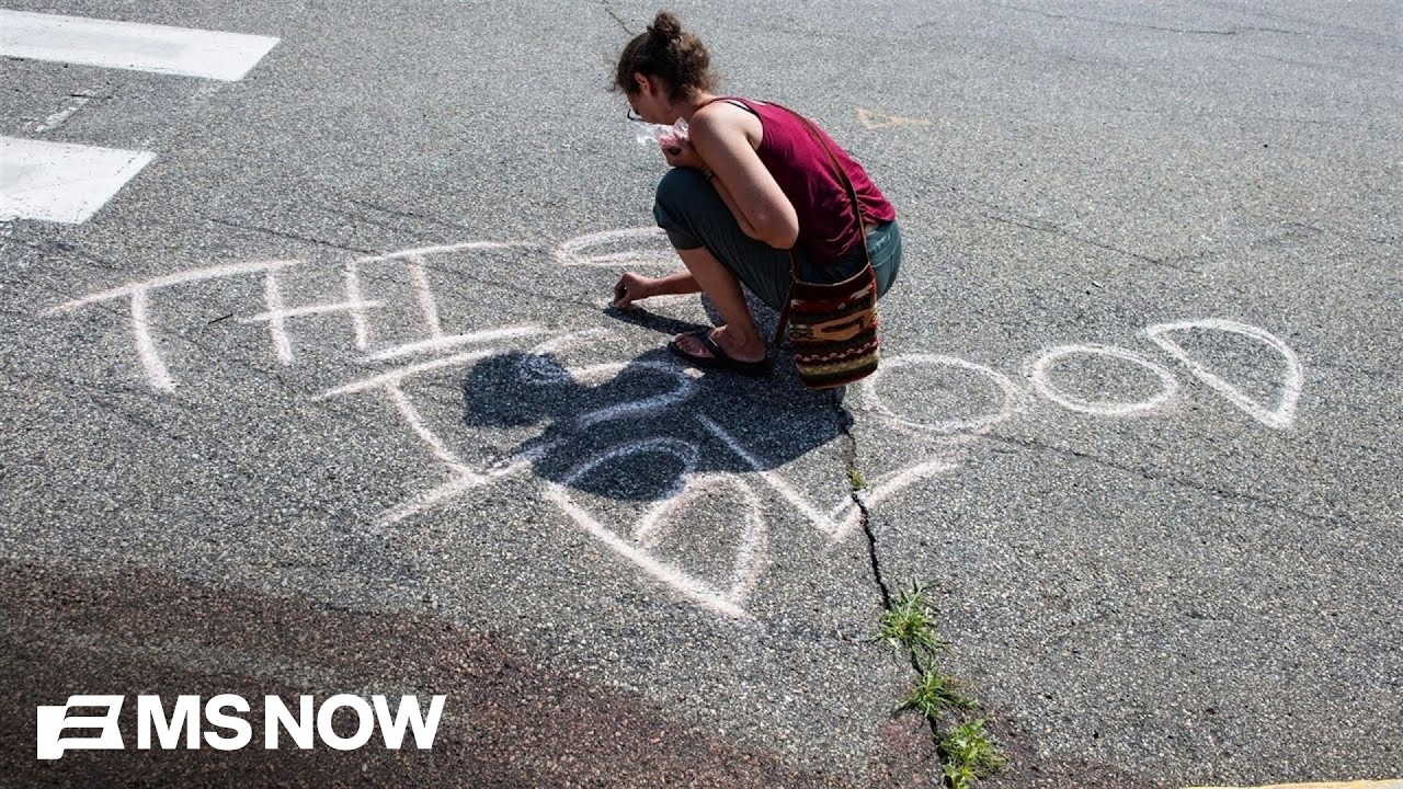 ‘You only shoot if it’s a last resort’: Law professor breaks down deadly ICE shootings