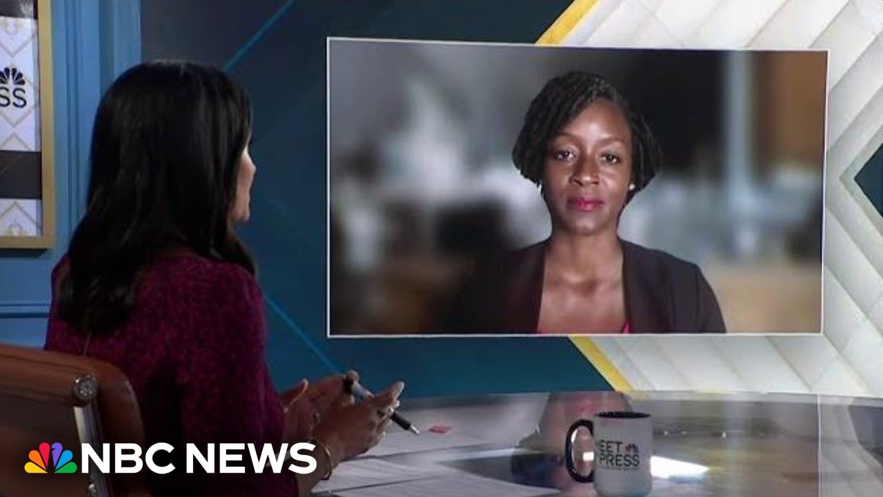Angie Nixon says ‘I’m not a socialist’ despite joining DSA