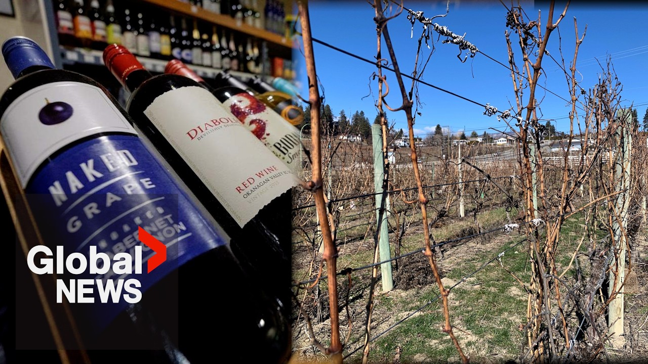 BC wildfires deal another blow to Okanagan wineries