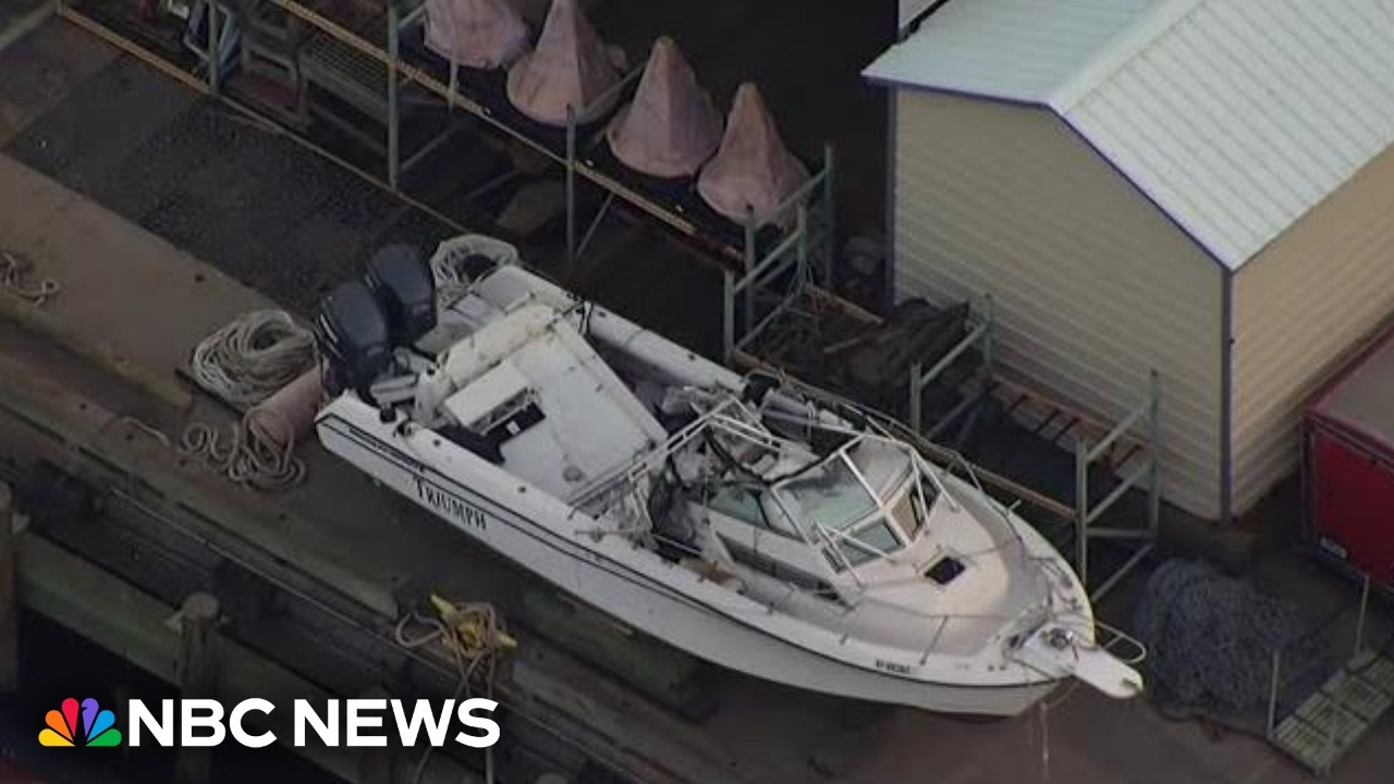 Boat captain charged after vessel capsizes near Statue of Liberty, killing woman and her child