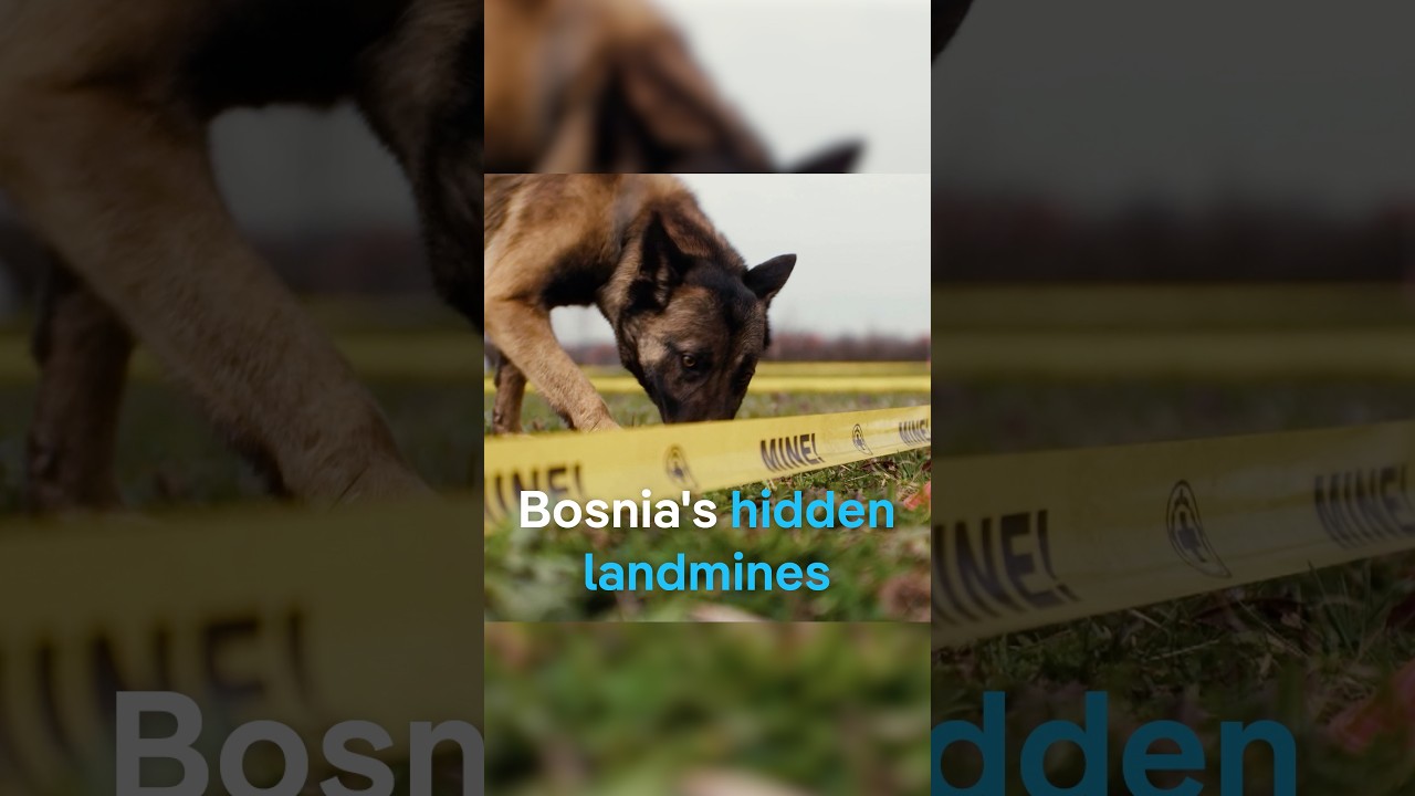 Bosnia’s hidden landmines | DW Documentary