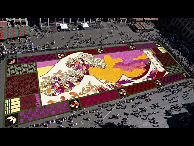 Brussels central square transformed into giant Japan-inspired flower carpet