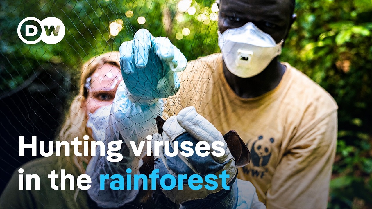 Can future pandemics be prevented? | DW Documentary