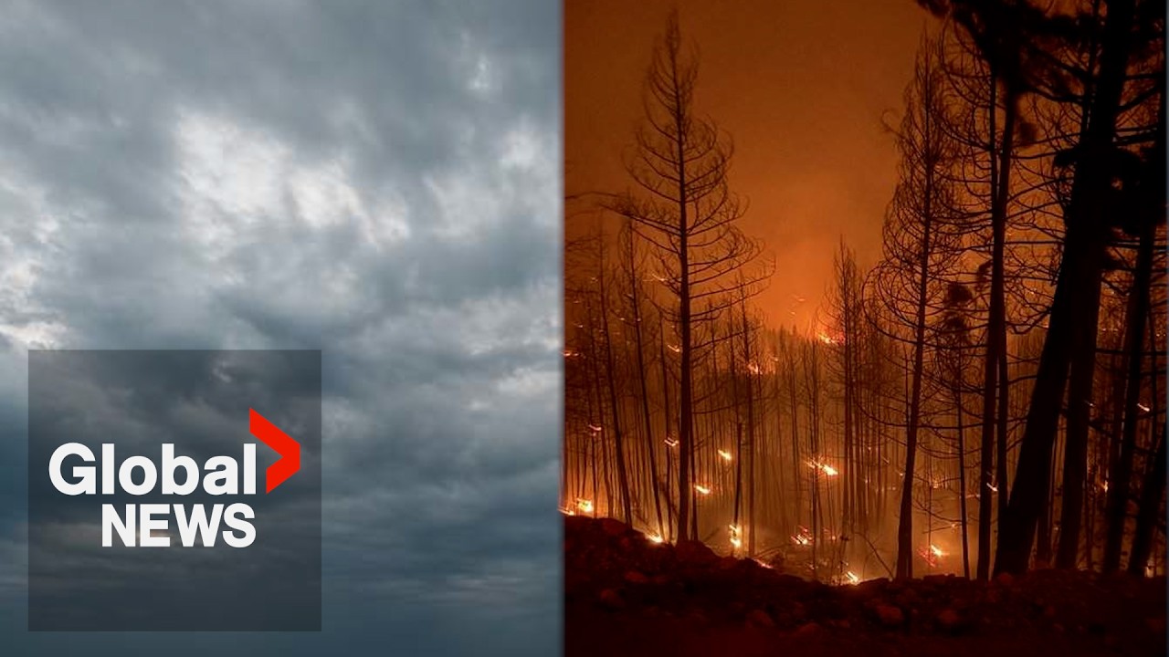 Canada falling behind on climate action despite years of warning, new report finds