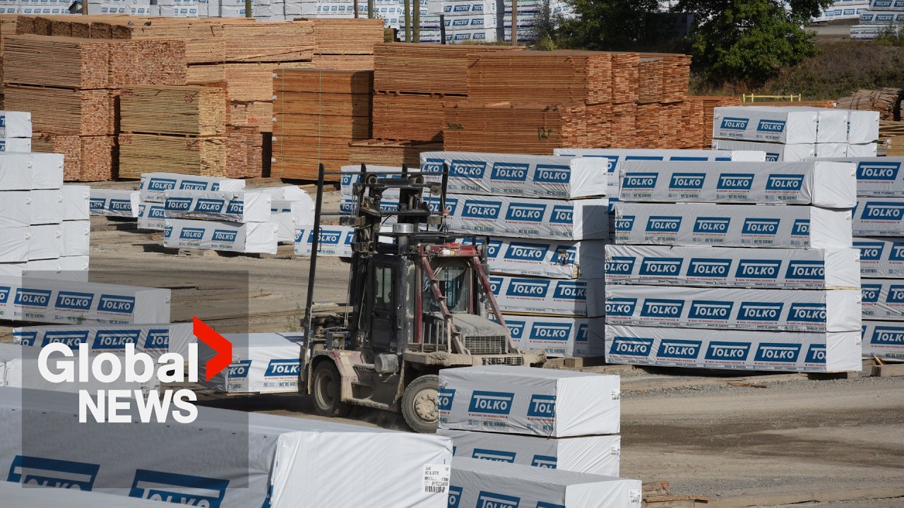Canada-US trade war: How hard will Trump tariffs hit Saskatchewan forest industry?