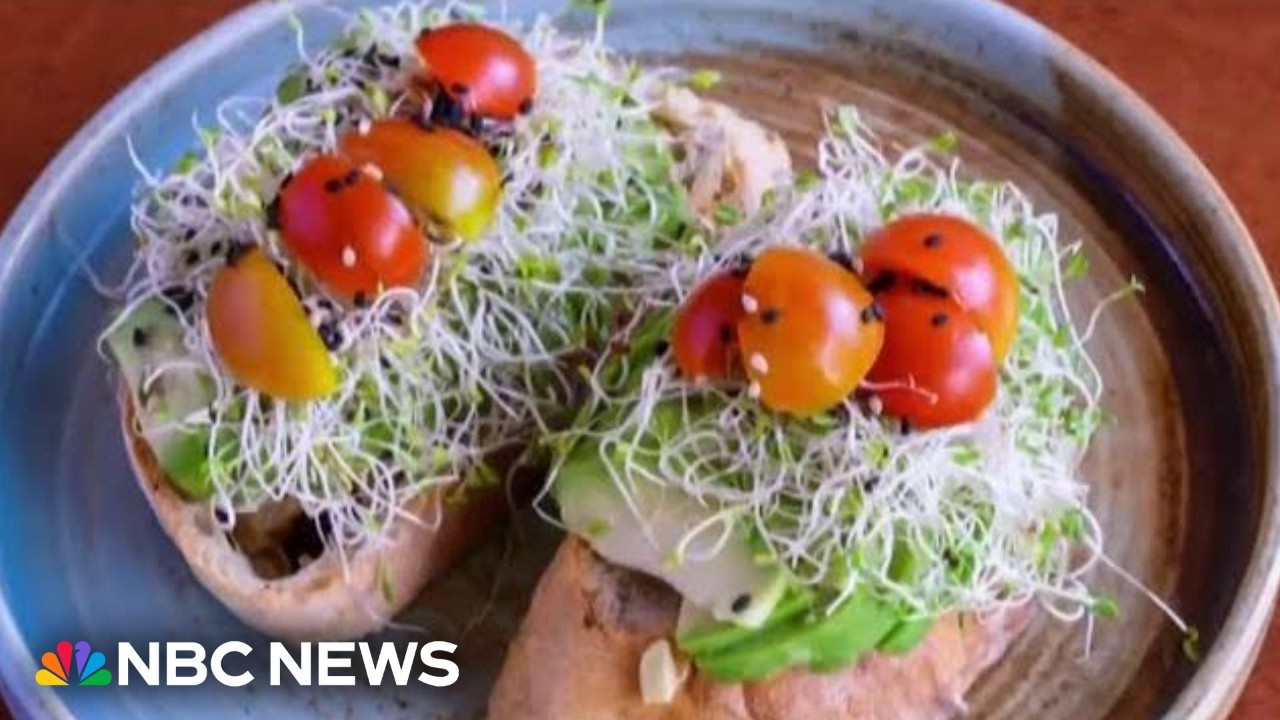 CDC investigates cases of salmonella and E.coli linked to alfalfa sprouts