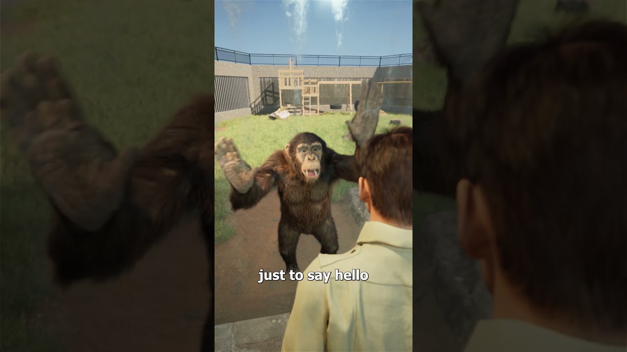 Chimp Recognizes Friend After 40 Years 😢