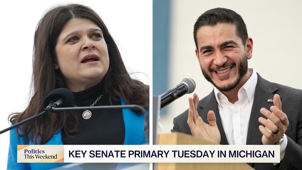 Democrats Divided By Michigan Senate Primary