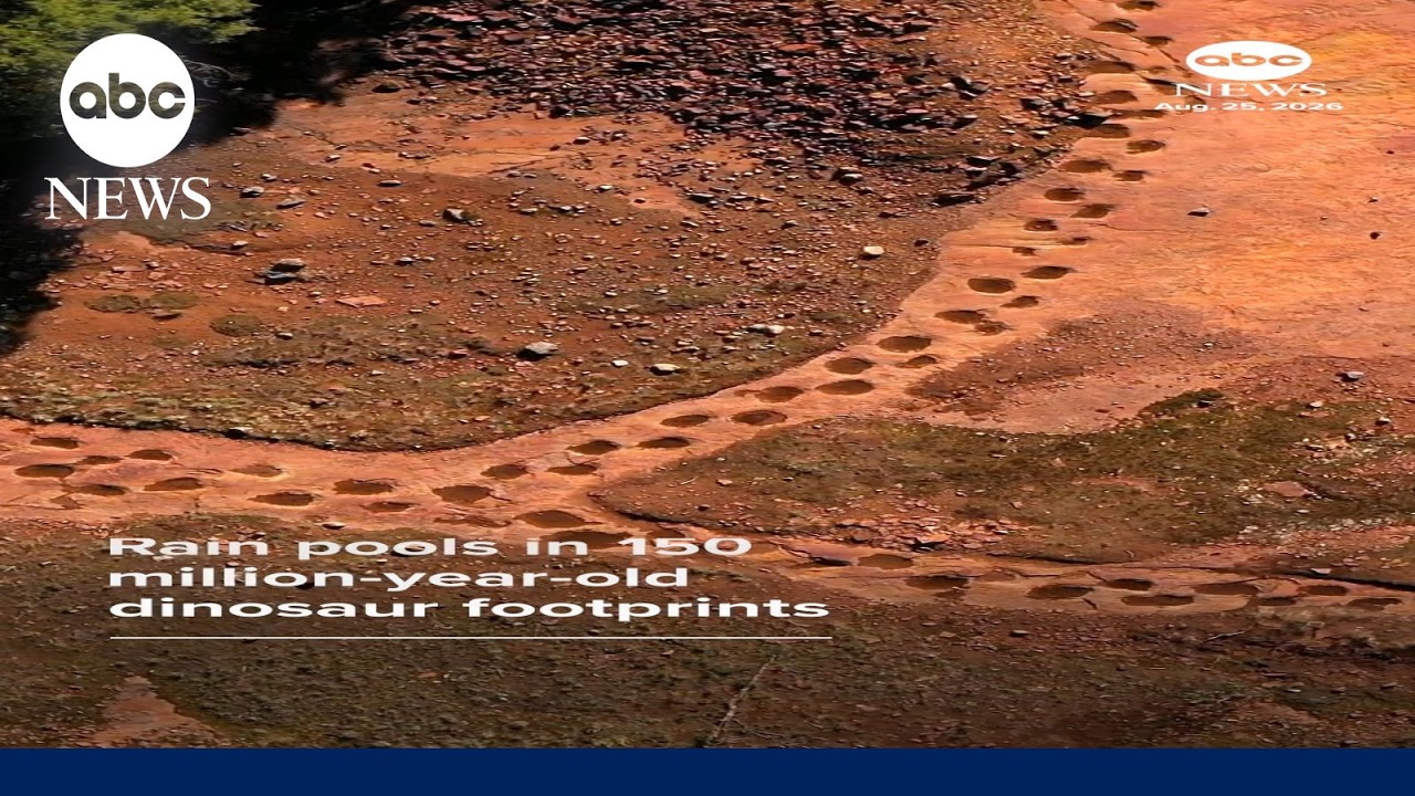 Dinosaur footprints from 150 million years ago
