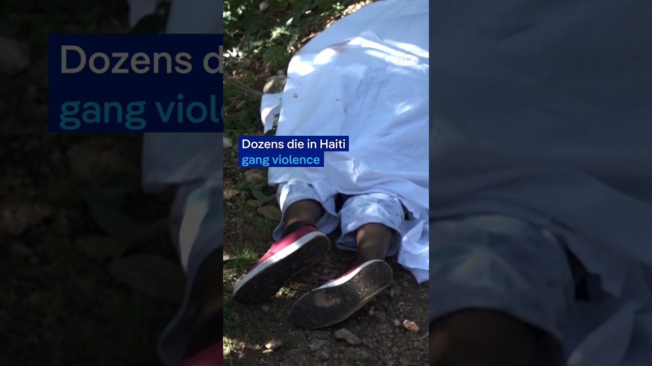 Dozens die in Haiti gang violence | DW News