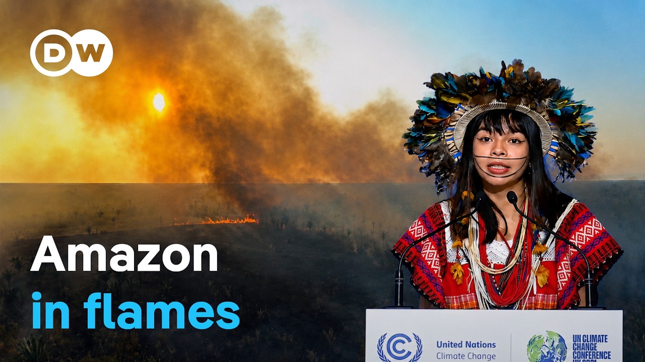 Endangered Amazon – Why the Earth’s lungs are dying | DW Documentary