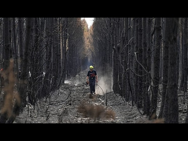 Europe’s wildfires update: two helicopters collide while battling fire in Greece